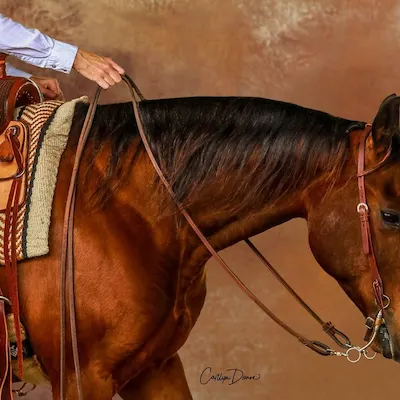 hilary bahlinger stephenson review avatar